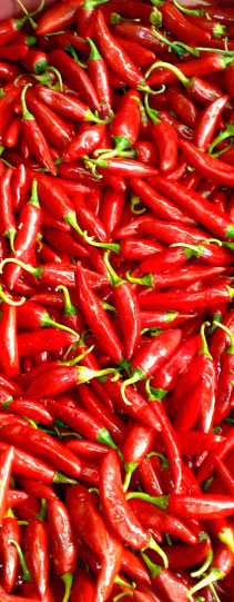 Firehorse Chilli Selection